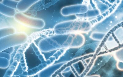 Your Air Conditioning and Legionnaires Disease: Should You be Worried?